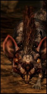 Le Roi Rat - Soluce Dark Souls II